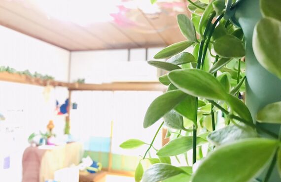 初めての女性でも安心して任せられる個室のサロンは｜さいたま市緑区の【リラックスRoom穂っこり】