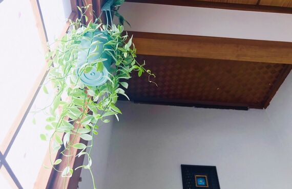 全身もみほぐしてリフレッシュするなら｜さいたま市緑区【リラックスRoom穂っこり】へ