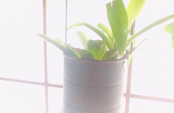 その症状→自律神経の乱れかもしれません｜さいたま市のリラックスRoom穂っこりで癒しませんか？