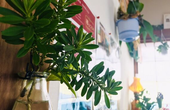 週末揉みほぐしてお疲れリセット！さいたま市緑区の【リラックスRoom穂っこり】