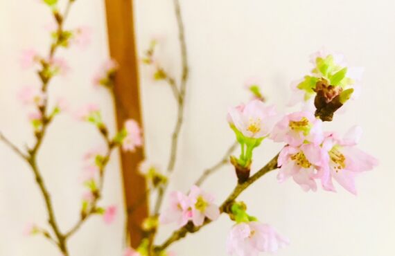 季節の変わり目に不調を感じたら揉みほぐしてお体ケア！さいたま市緑区【リラックスRoom穂っこり】
