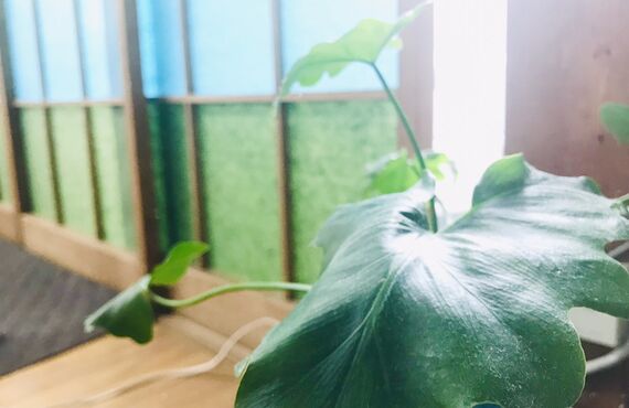 GWも営業！揉みほぐしてお体ケア｜さいたま市緑区【リラックスRoom穂っこり】